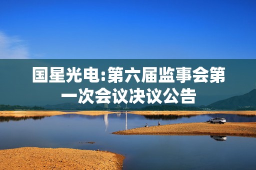 国星光电:第六届监事会第一次会议决议公告