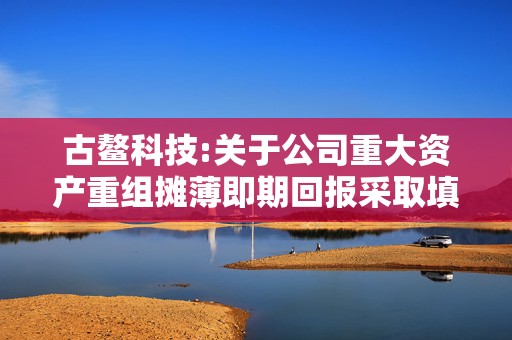 古鳌科技:关于公司重大资产重组摊薄即期回报采取填补措施及承诺事项的说明  第1张