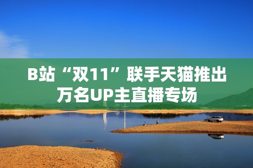B站“双11”联手天猫推出万名UP主直播专场  第1张