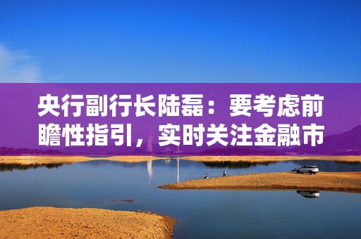 央行副行长陆磊：要考虑前瞻性指引，实时关注金融市场流动性价格变化背后的预期因素  第1张