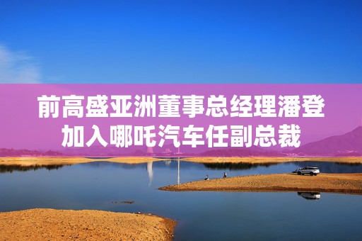 前高盛亚洲董事总经理潘登加入哪吒汽车任副总裁