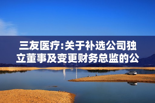 三友医疗:关于补选公司独立董事及变更财务总监的公告