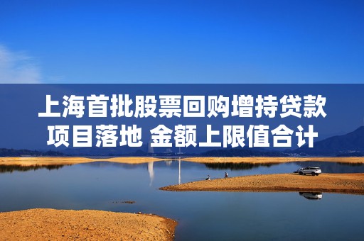 上海首批股票回购增持贷款项目落地 金额上限值合计超20亿元  第1张