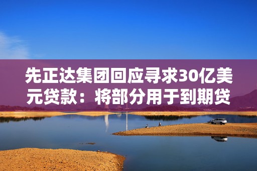 先正达集团回应寻求30亿美元贷款：将部分用于到期贷款再融资  第1张