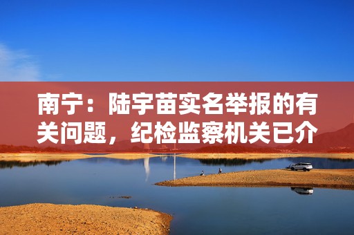 南宁：陆宇苗实名举报的有关问题，纪检监察机关已介入调查  第1张