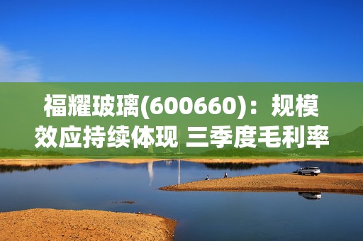 福耀玻璃(600660)：规模效应持续体现 三季度毛利率环比提升  第1张