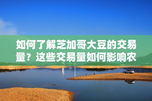 如何了解芝加哥大豆的交易量？这些交易量如何影响农业市场？