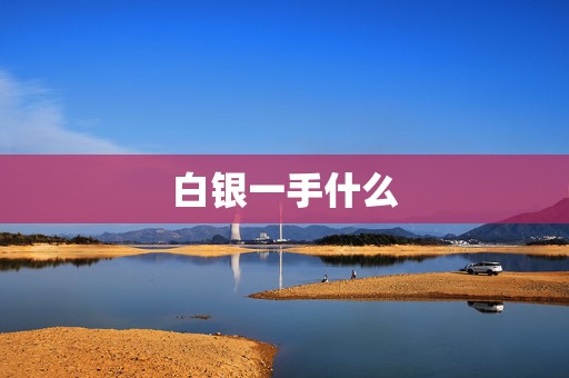 白银一手什么  第1张