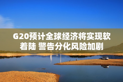 G20预计全球经济将实现软着陆 警告分化风险加剧