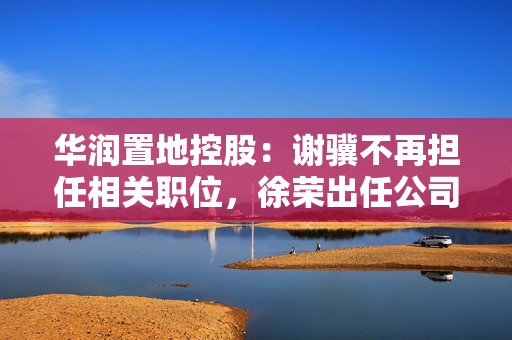 华润置地控股：谢骥不再担任相关职位，徐荣出任公司法定代表人、董事及总经理  第1张