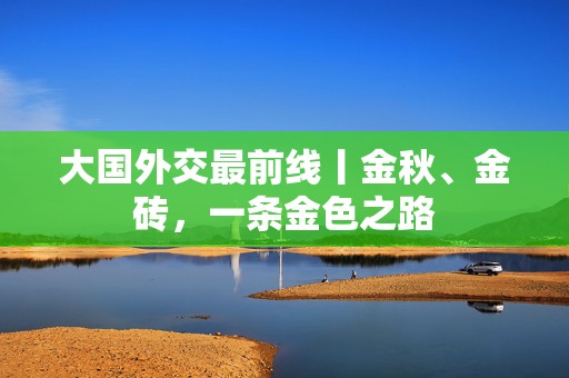 大国外交最前线丨金秋、金砖，一条金色之路