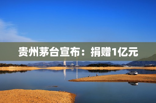 贵州茅台宣布：捐赠1亿元  第1张