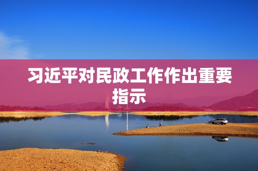 习近平对民政工作作出重要指示  第1张