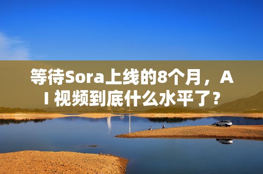 等待Sora上线的8个月，AI 视频到底什么水平了？  第1张