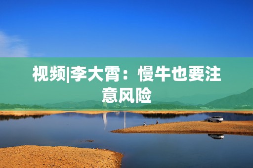 视频|李大霄：慢牛也要注意风险  第1张