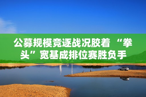 公募规模竞逐战况胶着 “拳头”宽基成排位赛胜负手