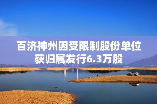 百济神州因受限制股份单位获归属发行6.3万股  第1张