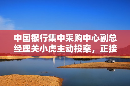 中国银行集中采购中心副总经理关小虎主动投案，正接受审查调查