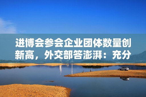 进博会参会企业团体数量创新高，外交部答澎湃：充分显示中国超大市场吸引力  第1张