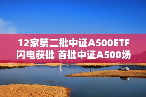 12家第二批中证A500ETF闪电获批 首批中证A500场外指数已发售近500亿  第1张