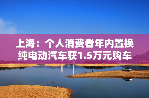 上海：个人消费者年内置换纯电动汽车获1.5万元购车补贴  第1张