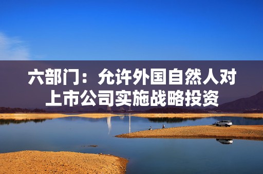 六部门：允许外国自然人对上市公司实施战略投资  第1张
