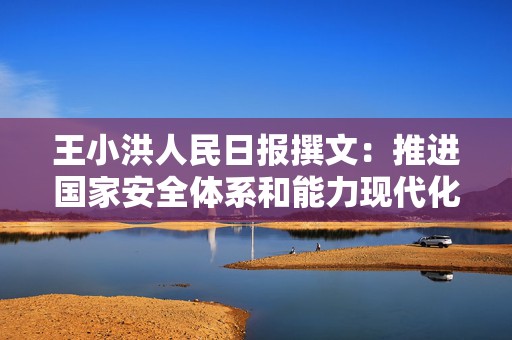 王小洪人民日报撰文：推进国家安全体系和能力现代化  第1张