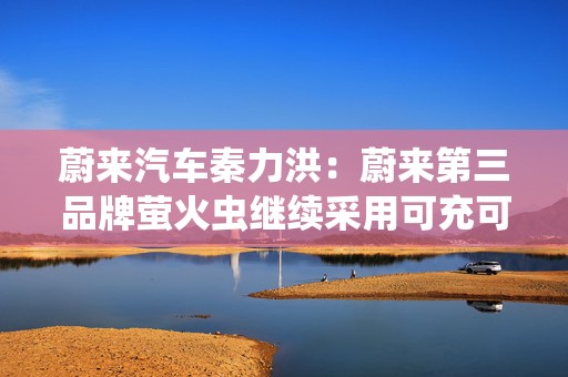 蔚来汽车秦力洪：蔚来第三品牌萤火虫继续采用可充可换可升级的纯电技术路线