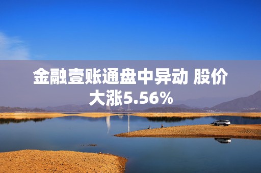 金融壹账通盘中异动 股价大涨5.56%  第1张