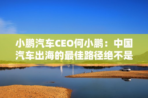小鹏汽车CEO何小鹏：中国汽车出海的最佳路径绝不是性价比  第1张