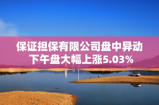 保证担保有限公司盘中异动 下午盘大幅上涨5.03%