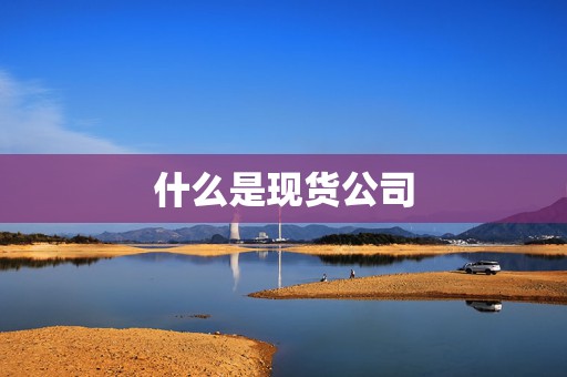 什么是现货公司