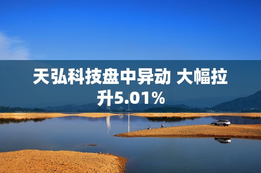 天弘科技盘中异动 大幅拉升5.01%  第1张