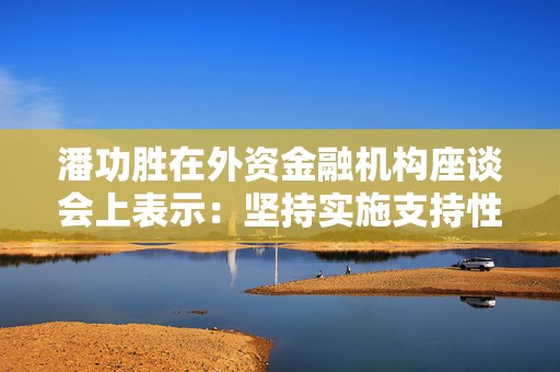 潘功胜在外资金融机构座谈会上表示：坚持实施支持性货币政策 加强与市场沟通不断提升服务质效