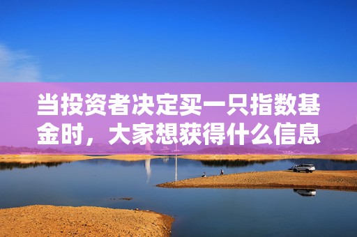 当投资者决定买一只指数基金时，大家想获得什么信息？华夏基金李一梅：面对这个挑战，华夏基金必须做好  第1张