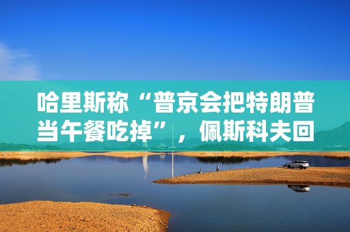 哈里斯称“普京会把特朗普当午餐吃掉”，佩斯科夫回应  第1张