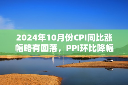 2024年10月份CPI同比涨幅略有回落，PPI环比降幅明显收窄  第1张