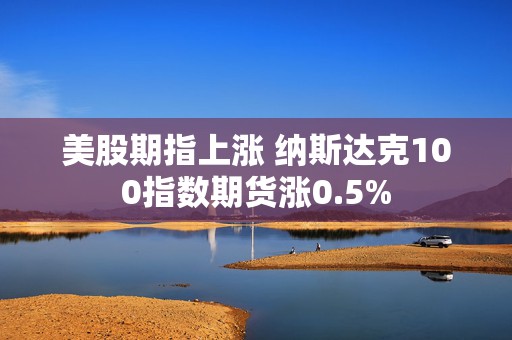 美股期指上涨 纳斯达克100指数期货涨0.5%  第1张