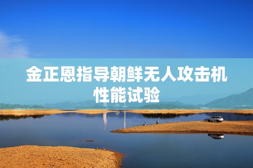 金正恩指导朝鲜无人攻击机性能试验  第1张