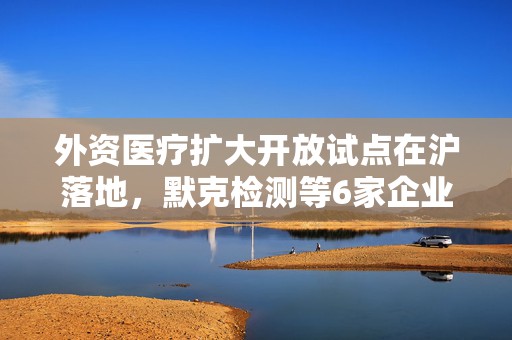 外资医疗扩大开放试点在沪落地，默克检测等6家企业集体变更营业执照  第1张