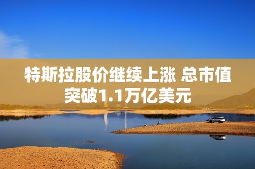 特斯拉股价继续上涨 总市值突破1.1万亿美元  第1张