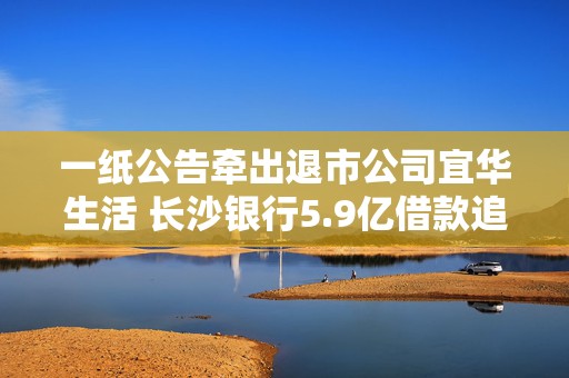 一纸公告牵出退市公司宜华生活 长沙银行5.9亿借款追索再生波折  第1张