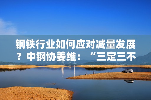 钢铁行业如何应对减量发展？中钢协姜维：“三定三不要”要坚持不懈