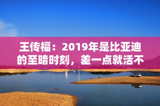 王传福：2019年是比亚迪的至暗时刻，差一点就活不下去了  第1张