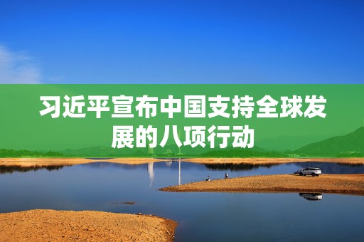 习近平宣布中国支持全球发展的八项行动