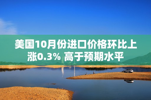 美国10月份进口价格环比上涨0.3% 高于预期水平  第1张