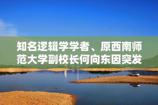知名逻辑学学者、原西南师范大学副校长何向东因突发心梗逝世  第1张