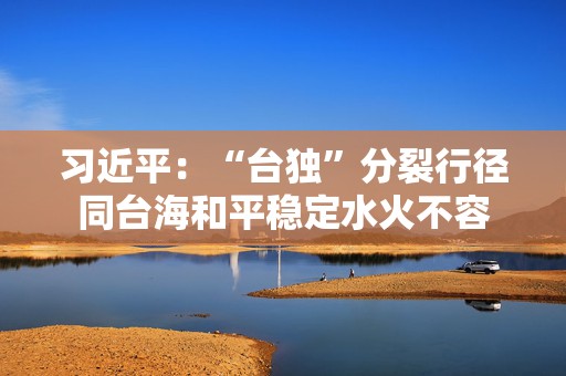 习近平：“台独”分裂行径同台海和平稳定水火不容  第1张