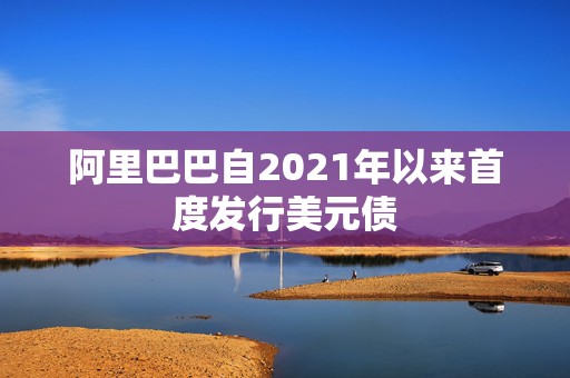 阿里巴巴自2021年以来首度发行美元债