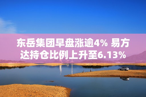 东岳集团早盘涨逾4% 易方达持仓比例上升至6.13%  第1张